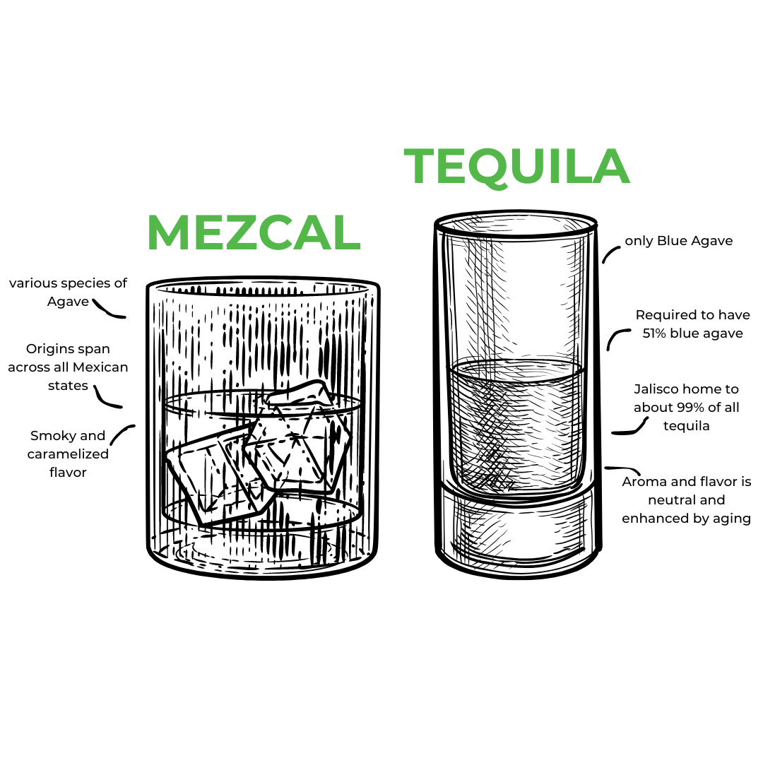 Tequila vs. Mezcal: What’s the Difference?